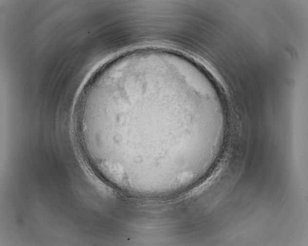 X0000111480832200908111159