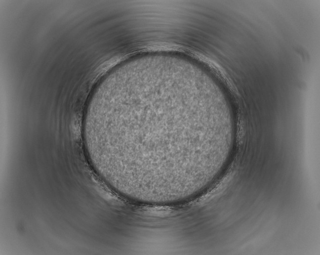 X0000111480833200908111159
