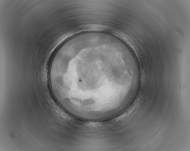 X0000111480835200908111159