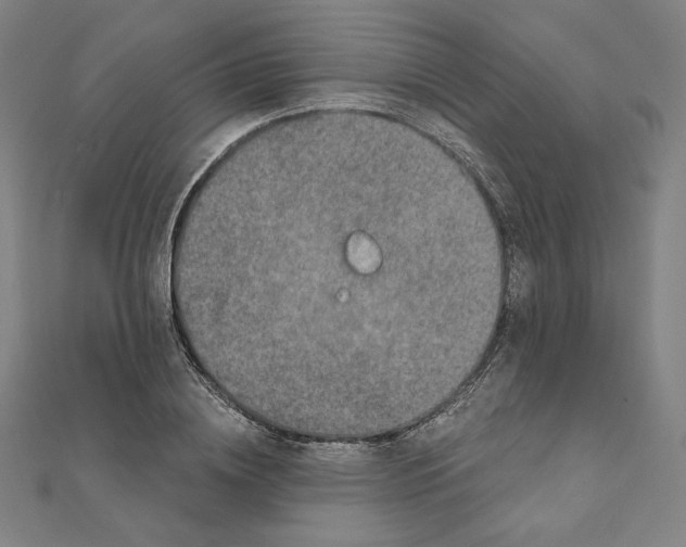 X0000111480836200908111159