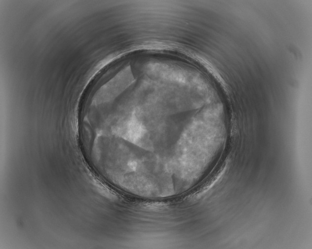 X0000111480837200908111159
