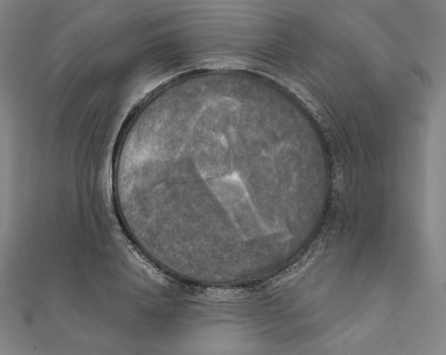 X0000111480840200908111159