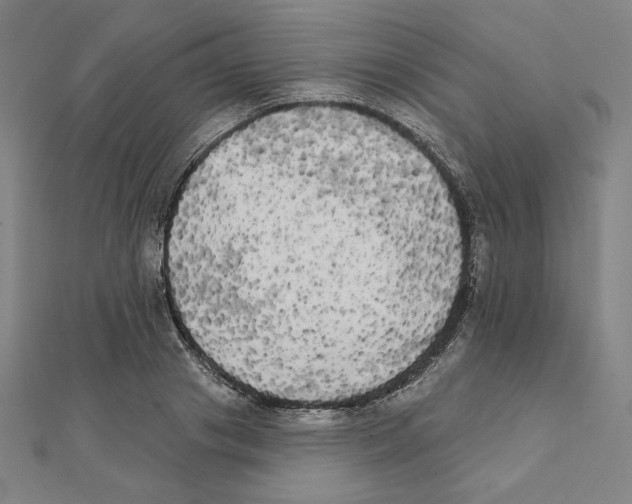 X0000111480841200908111159