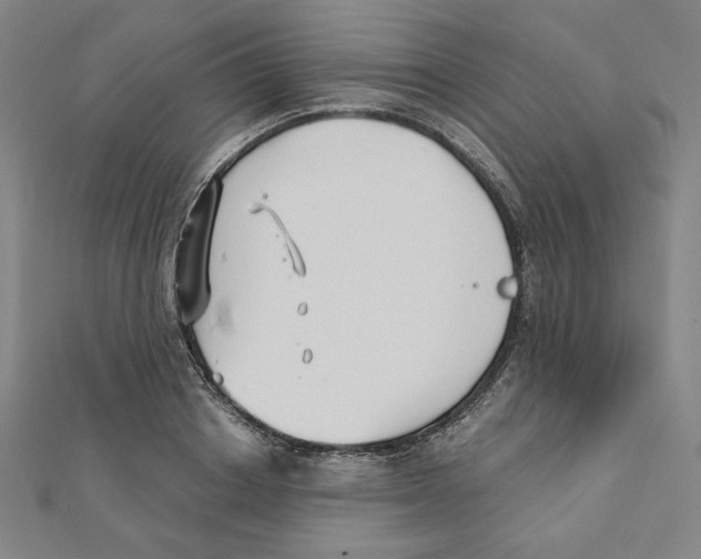 X0000111480842200908111159