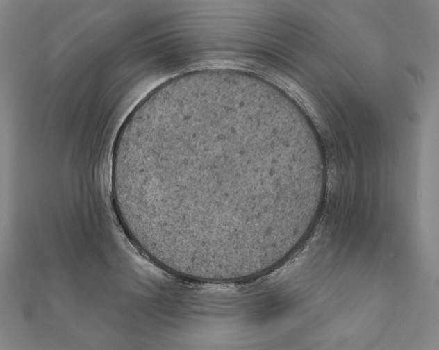 X0000111480844200908111159
