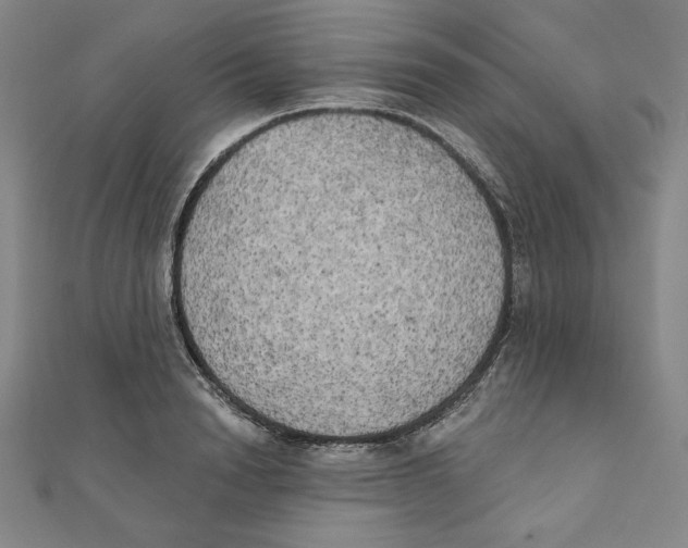 X0000111480846200908111159