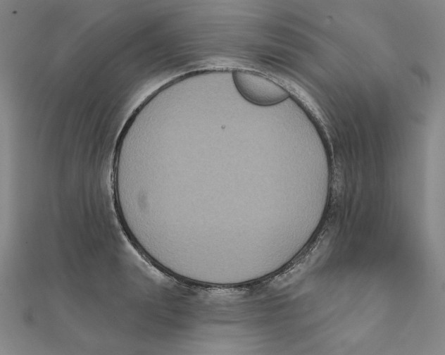 X0000111480847200908111159