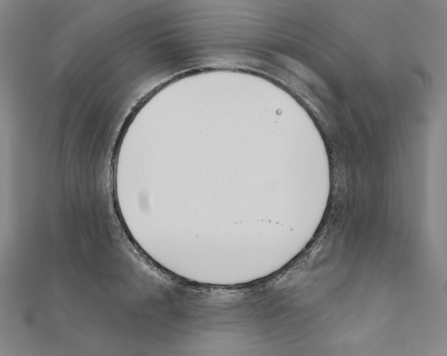 X0000111480848200908111159