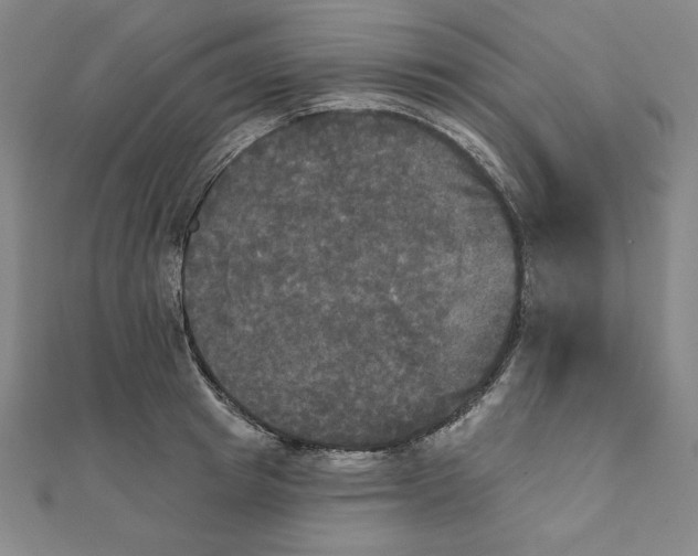 X0000111480849200908111159