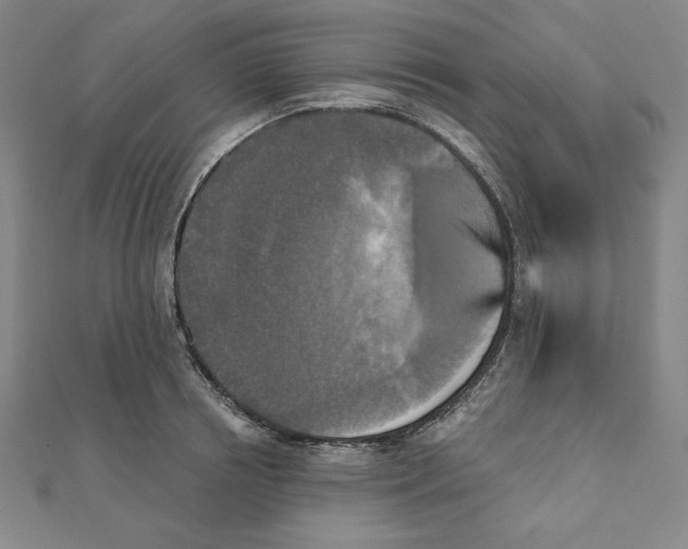 X0000111480850200908111159