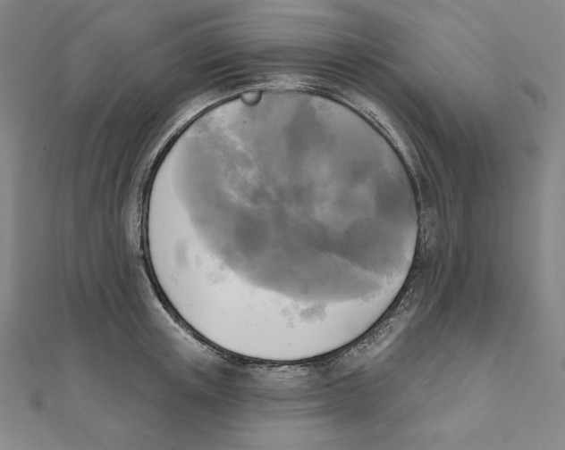 X0000111480851200908111159