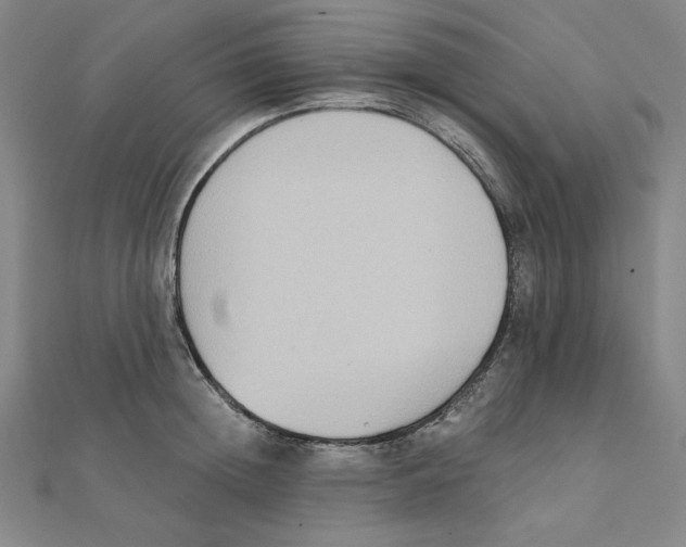 X0000111480852200908111159