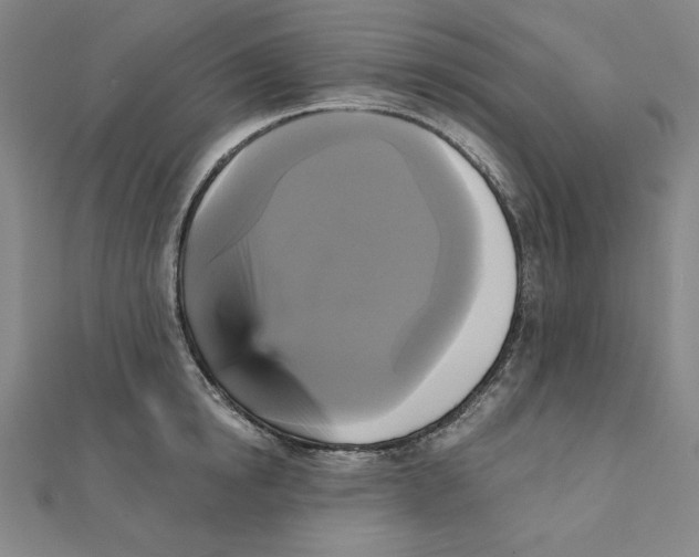 X0000111480854200908111159