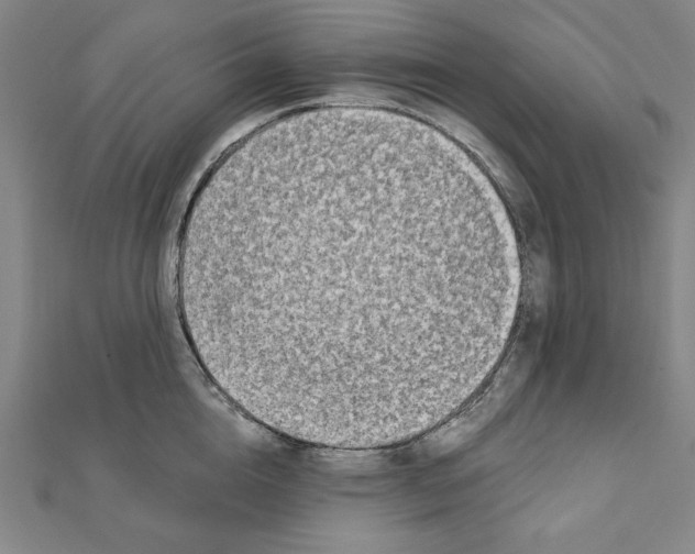 X0000111480856200908111200