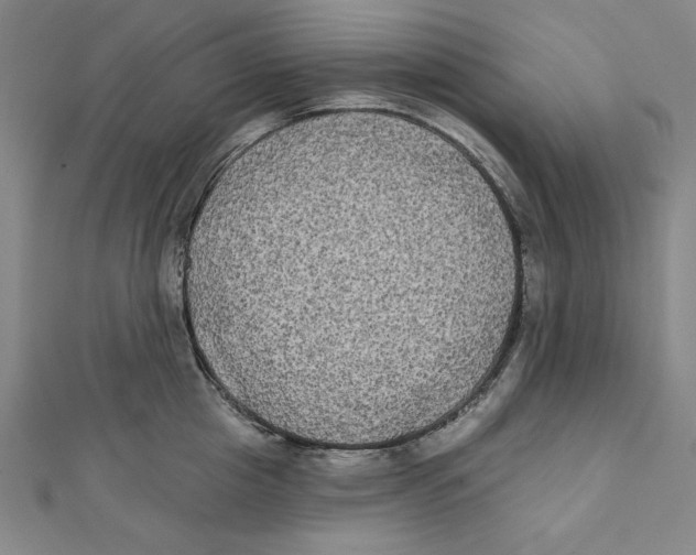 X0000111480857200908111200