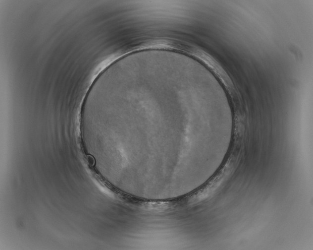 X0000111480858200908111200