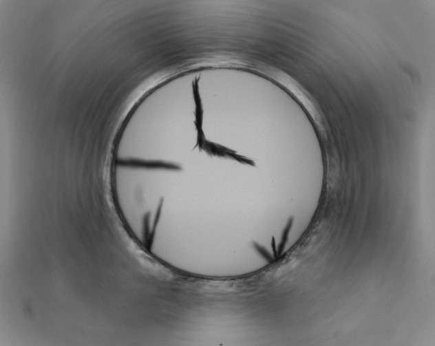 X0000111480861200908111200
