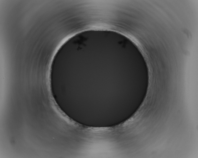 X0000111480864200908111200