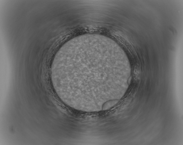 X0000111480865200908111159