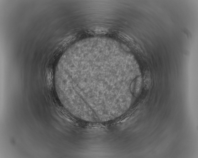 X0000111480866200908111159
