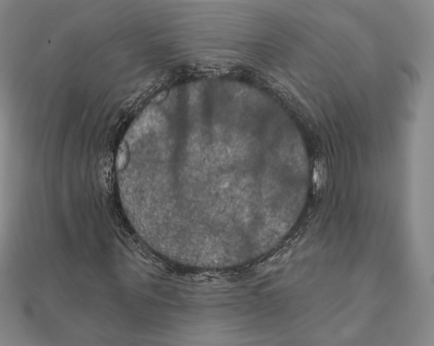 X0000111480867200908111159