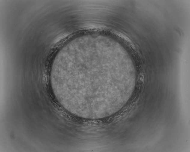 X0000111480869200908111159