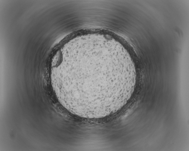 X0000111480871200908111159