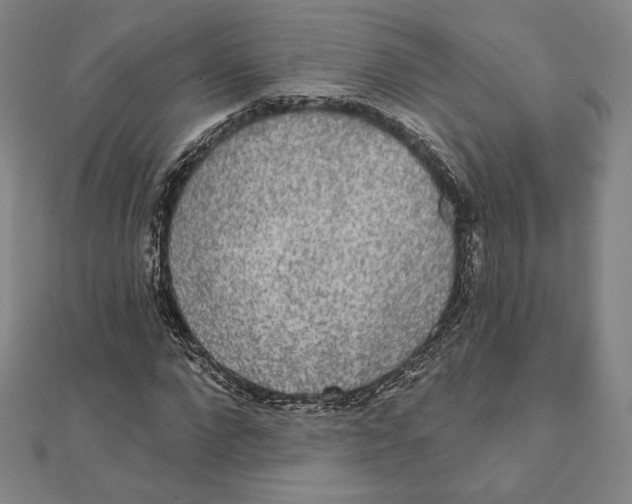 X0000111480872200908111159