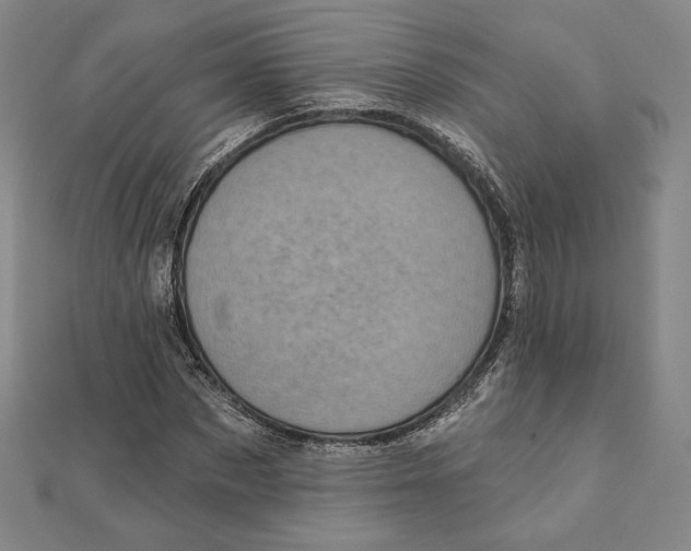 X0000111480873200908111159