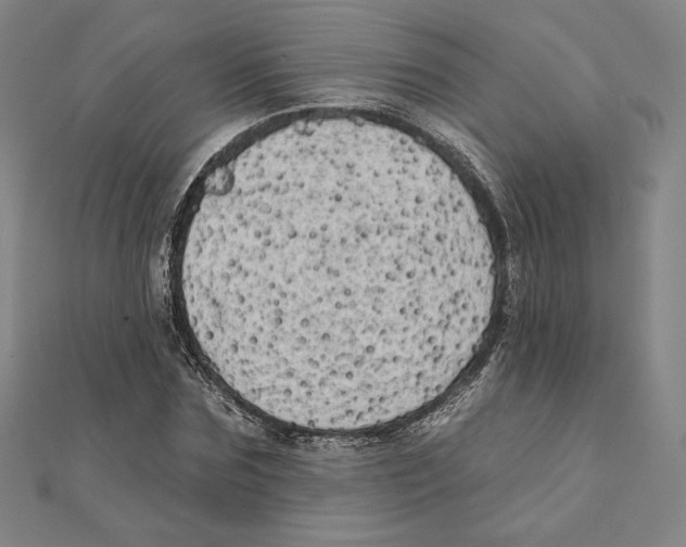 X0000111480875200908111159