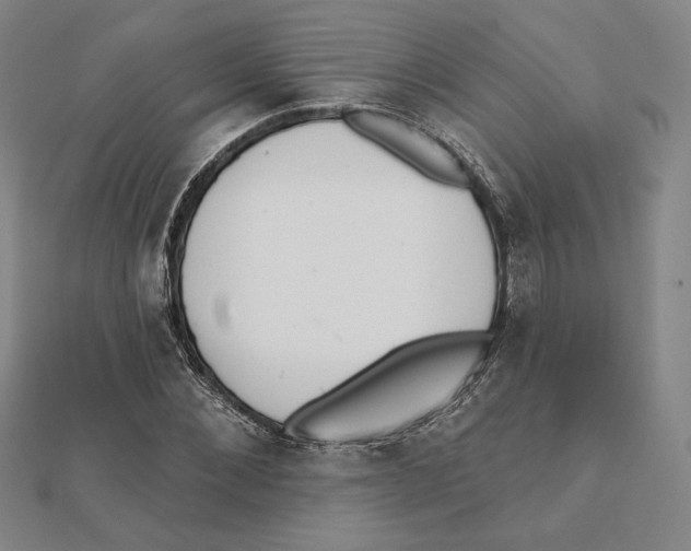 X0000111480876200908111159