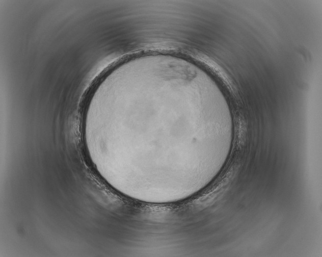 X0000111480878200908111159