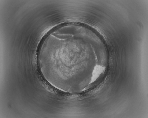 X0000111480879200908111159