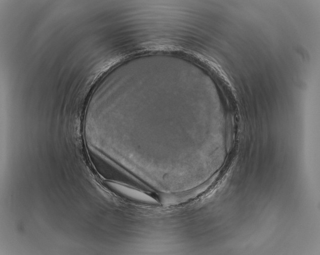 X0000111480881200908111159