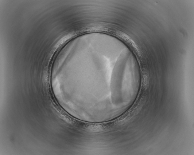X0000111480882200908111159