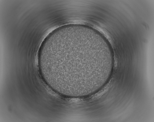 X0000111480883200908111159