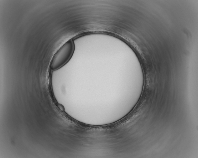 X0000111480885200908111159