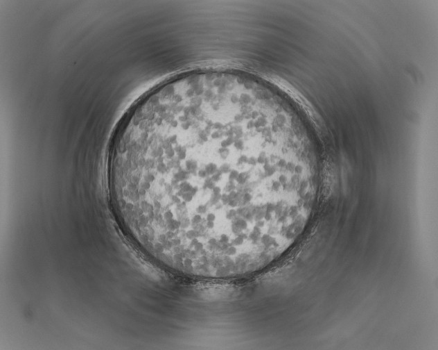 X0000111480886200908111159