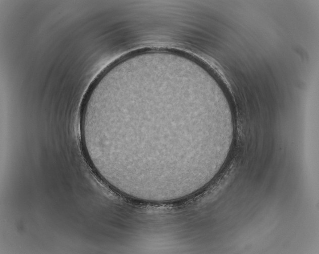 X0000111480887200908111159