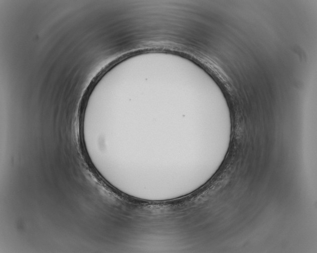 X0000111480888200908111159