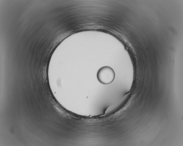 X0000111480889200908111159
