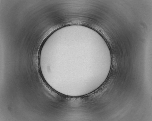 X0000111480890200908111159