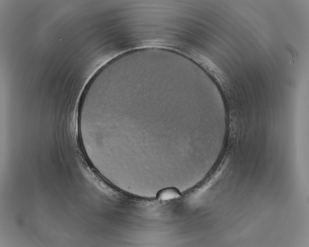 X0000111480892200908111158