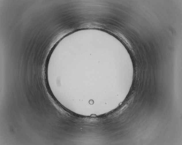 X0000111480893200908111158