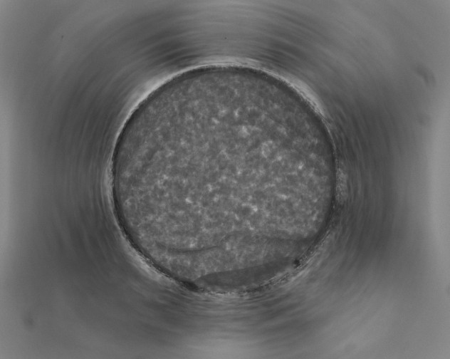 X0000111480895200908111158