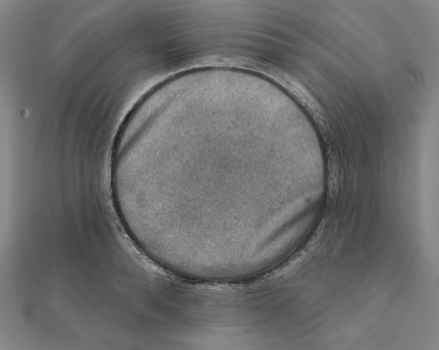 X0000111480896200908111158
