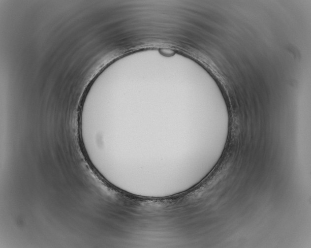 X0000111480898200908111158