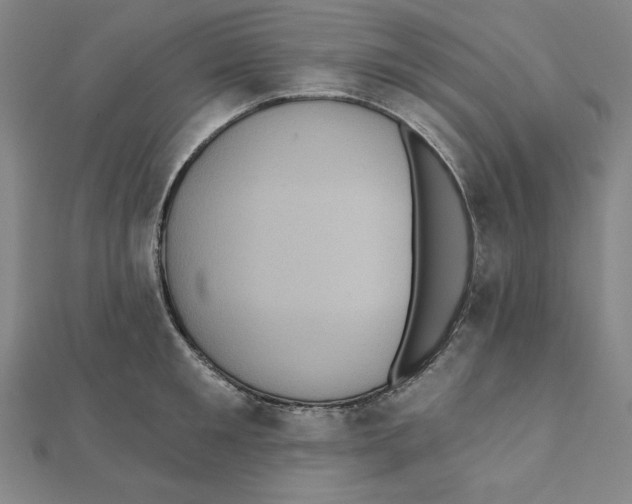 X0000111480901200908111158