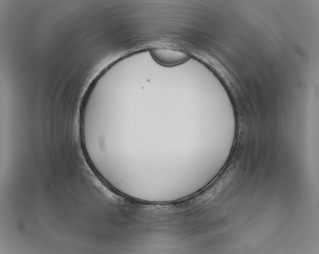 X0000111480902200908111158