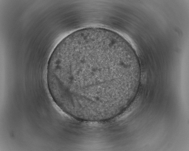 X0000111480903200908111158